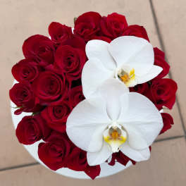 Red roses with two white orchids in a round white box