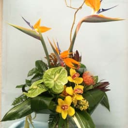 Tropical flower arrangement with orange bird-of-paradise and yellow orchids in a glass vase