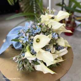 Bouquet of white calla lilies and small blue flowers