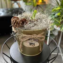 Small potted arrangement with pinecones and a green sprout in a gold container