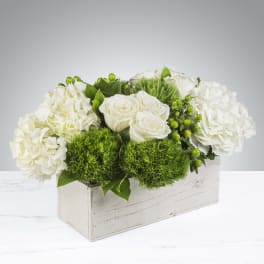 Low white wooden box arrangement with white roses, white hydrangeas, and bright green pom-pom blooms.