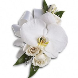 White orchid and rose corsage with satin ribbon and jeweled accents