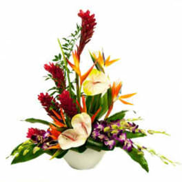 Tropical flower arrangement in a white bowl with red, orange, and white blooms