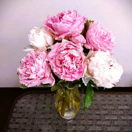 Pink and white peonies arranged in a glass vase