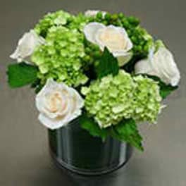 Compact arrangement of white roses and green hydrangeas in a shiny cylinder vase