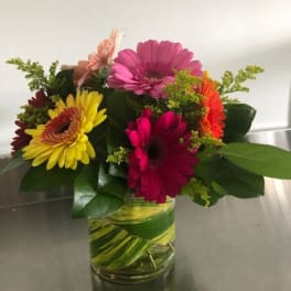 Colorful gerbera daisy bouquet in a glass vase