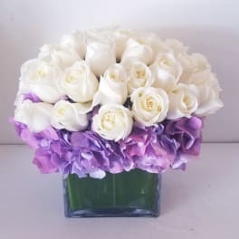 White roses and purple hydrangeas in a square glass vase