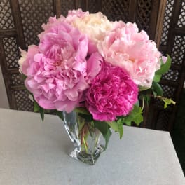 PEONY LOVE