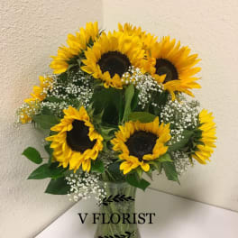 Clear vase arrangement of yellow sunflowers with white filler flowers