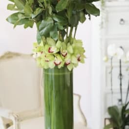 Tall vase arrangement of red roses with green orchids