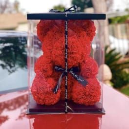 Red rose teddy bear in a clear display box with black base and ribbon