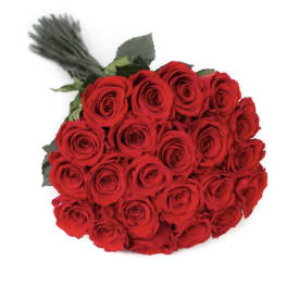 Tied bouquet of long-stemmed red roses arranged in a dense cluster.