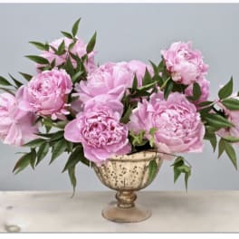 Low arrangement of pink peonies in a gold pedestal bowl