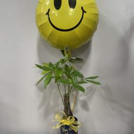 Yellow smiley-face balloon above a potted plant in a gift container