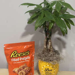 Potted money tree with a Reese's pretzels bag and a bee well soon pot