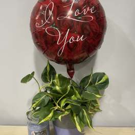 Red "I Love You" balloon above a potted green plant and candle jar