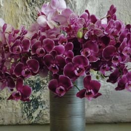 Purple orchids arranged in a striped vase
