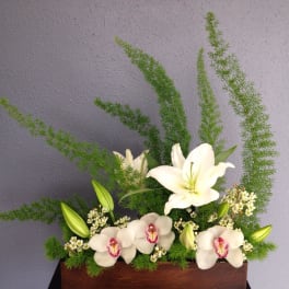 White lilies and orchids in a rectangular wooden container