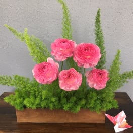 Pink ranunculus arrangement in a wooden box with tall green foliage