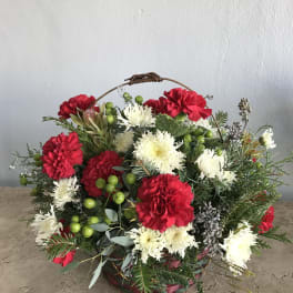 Basket arrangement of red and white carnations with greenery and berries