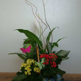 Basket arrangement with red and yellow flowers, green foliage, and butterfly picks