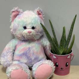 Pastel teddy bear beside a potted aloe plant in a pink cat bucket