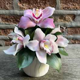 Pink orchids arranged in a small ceramic pot