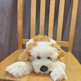 Plush dog toy resting on a wooden chair