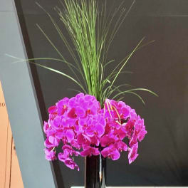 Bright pink orchid arrangement in a tall black vase with long grass-like stems