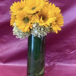 Tall glass vase of bright yellow sunflowers and white hydrangeas against a pink backdrop