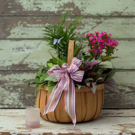 Basket of potted plants with pink flowers and a striped ribbon