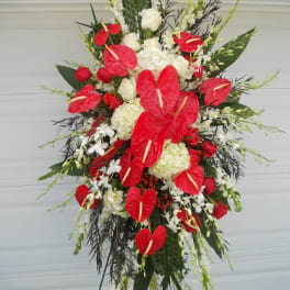 Tall standing spray with red anthuriums and white flowers