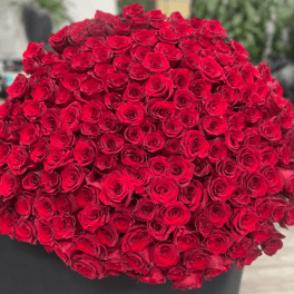 300 Long Stem Red Rose Bouquet
