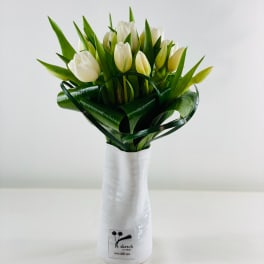 White tulips arranged in a tall white vase with folded green leaves