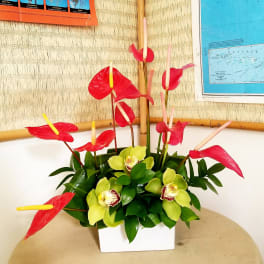 Red anthuriums and green orchids in a white rectangular vase