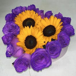 Low round arrangement of bright yellow sunflowers surrounded by vivid purple roses in a shallow container