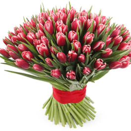 Large bouquet of pink tulips tied with a red ribbon