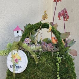 Moss-covered basket with succulents, hanging blooms, and a small birdhouse