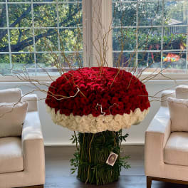Large red and white rose arrangement with tall curly branches