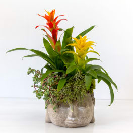 Potted arrangement of red and yellow tropical plants with succulents in a stone head-shaped planter