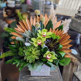 Succulent arrangement with green orchids in a patterned square vase
