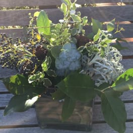 Green foliage arrangement in a square glass vase with dark berries