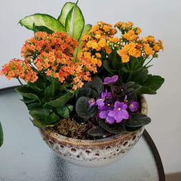 Potted arrangement of orange, yellow, and purple flowers in a ceramic bowl