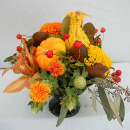 Autumn floral arrangement with a small pumpkin and orange-yellow blooms in a black vase