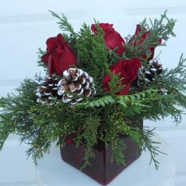 Red roses in a square vase with pinecones and evergreen branches