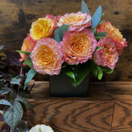 Arrangement of peach and pink roses in a black square vase