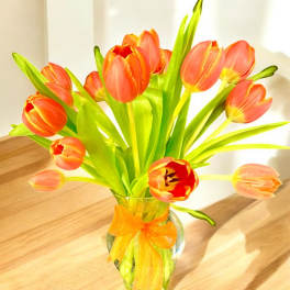 Orange tulips in a glass vase with an orange ribbon