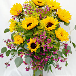 California Garden - Sunflowers, Solidago and Pink Wax Flower