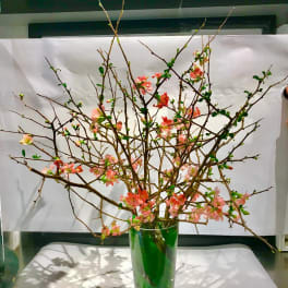 Branch arrangement with pink blossoms in a tall glass vase