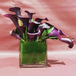 Purple calla lilies arranged in a square glass vase